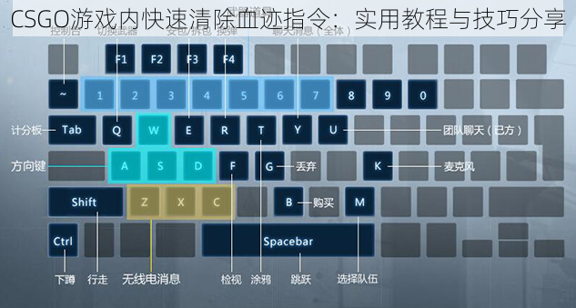 CSGO游戏内快速清除血迹指令：实用教程与技巧分享